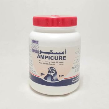 Ampicure Powder